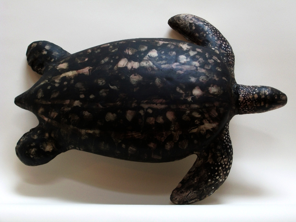 Tutrtle