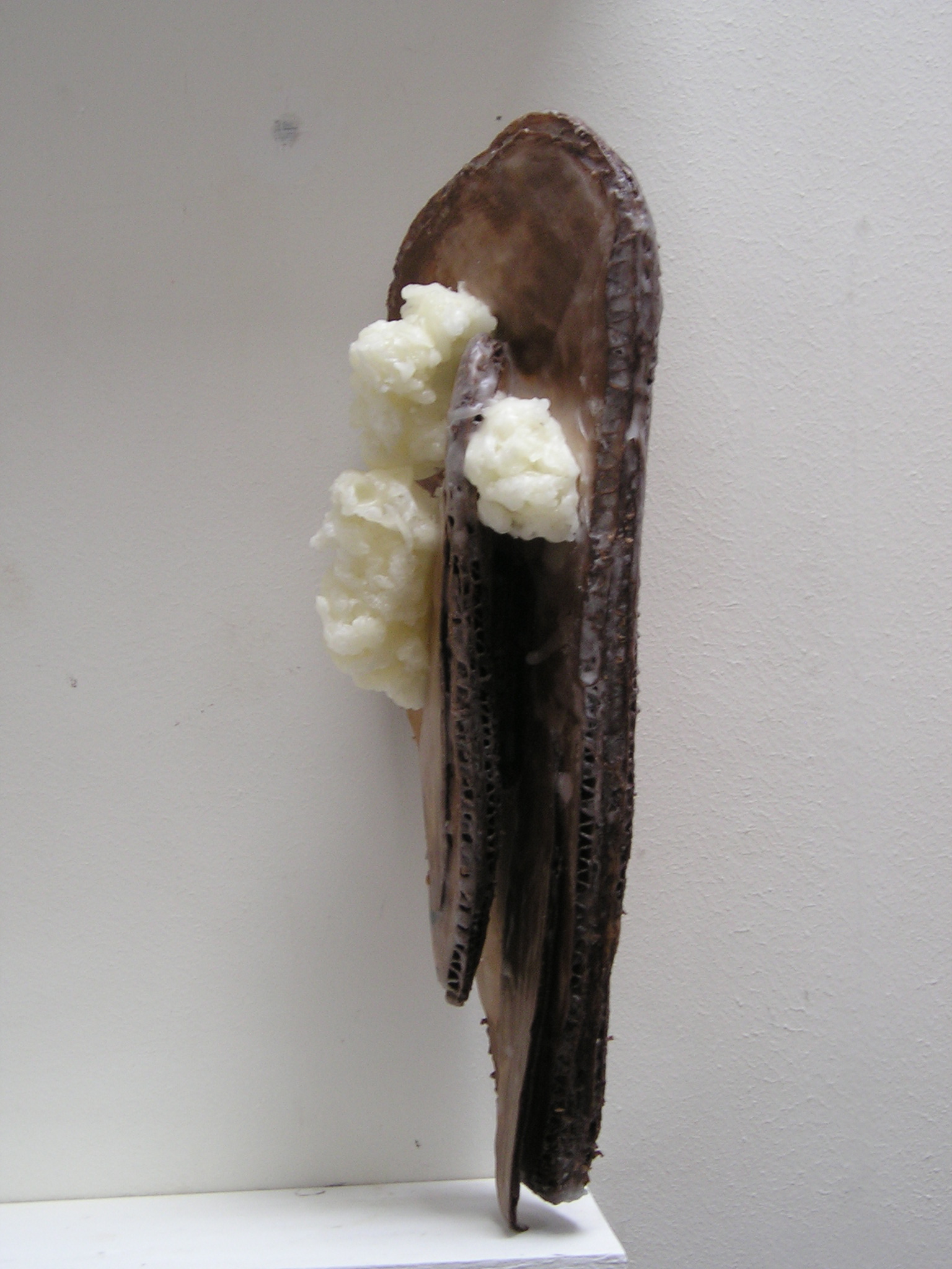 jpg_00001783