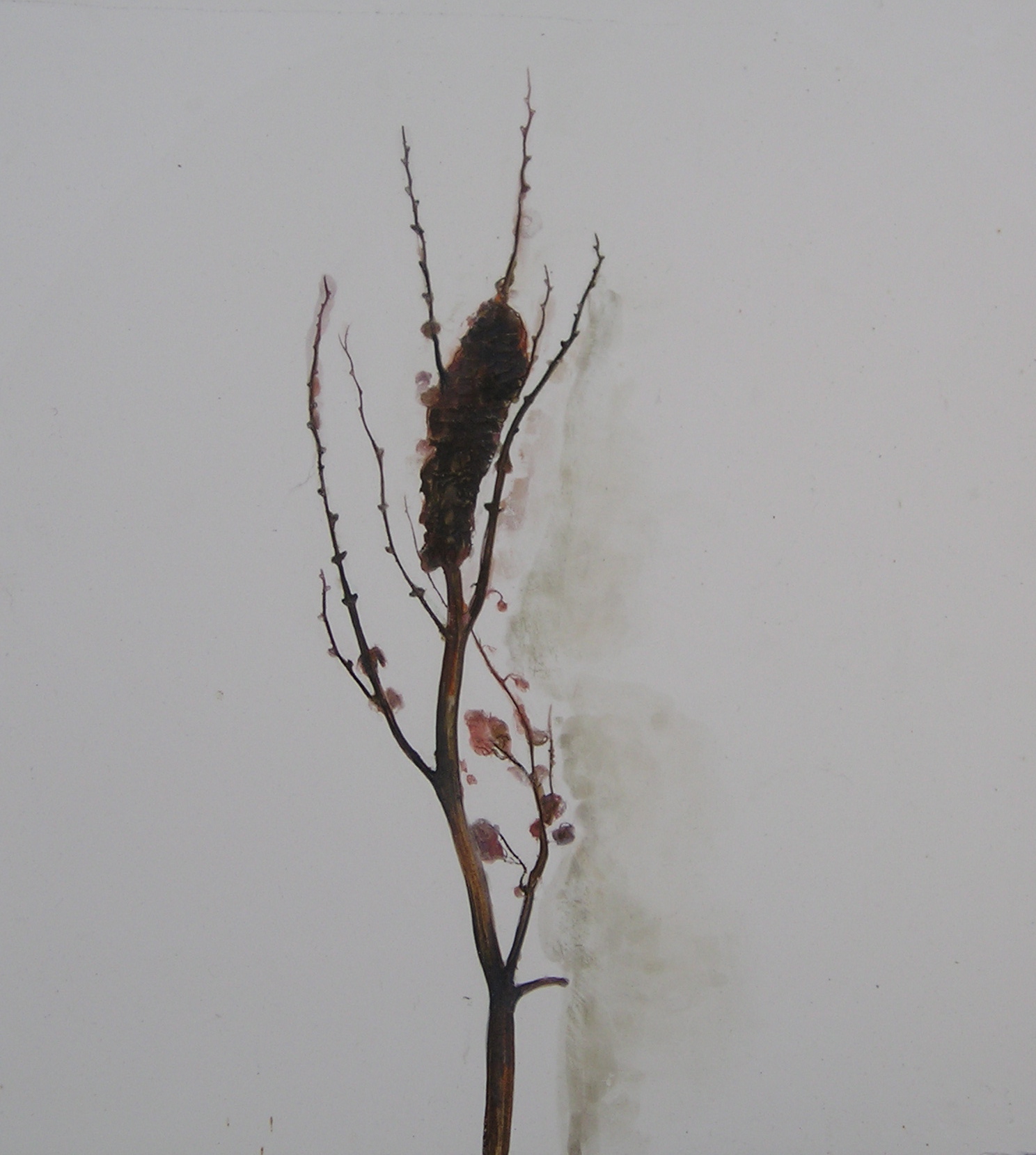 jpg_00001803